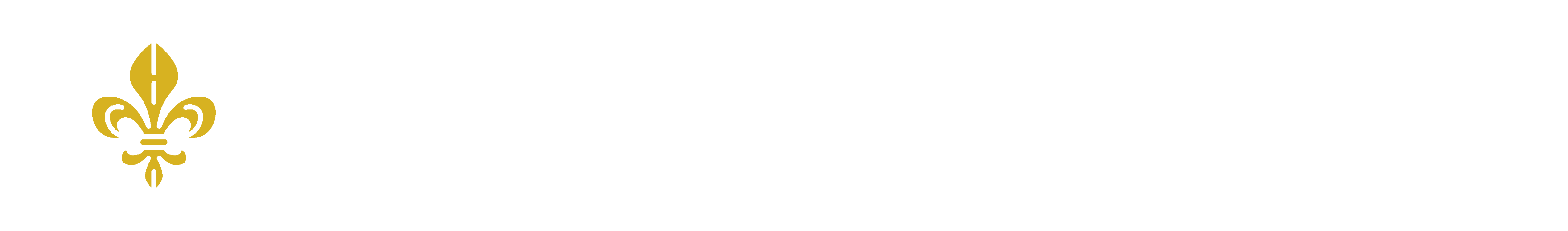 The Harvey Lewis Group